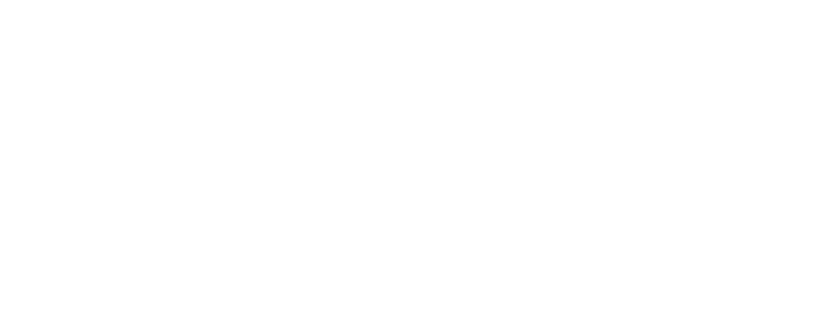 X01 Dev
